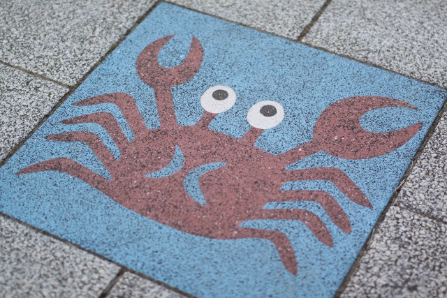 crab-01-large.jpg