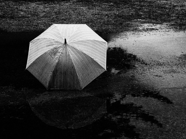 umbrella-01-large.jpg