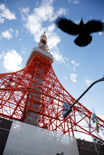 tokyo-tower-01-large.jpg