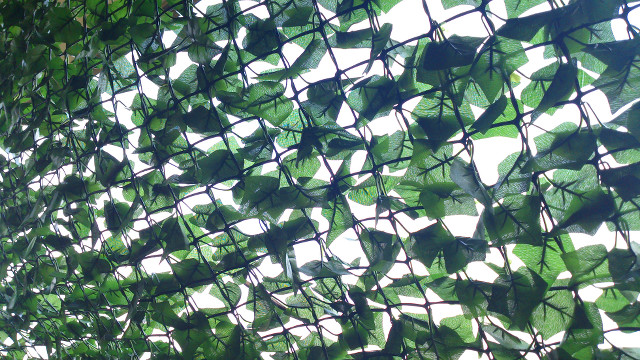 green-curtain-01-large.jpg